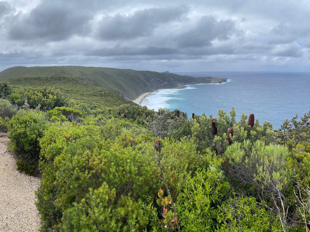 Sharp Point-奥尔巴尼必去景点