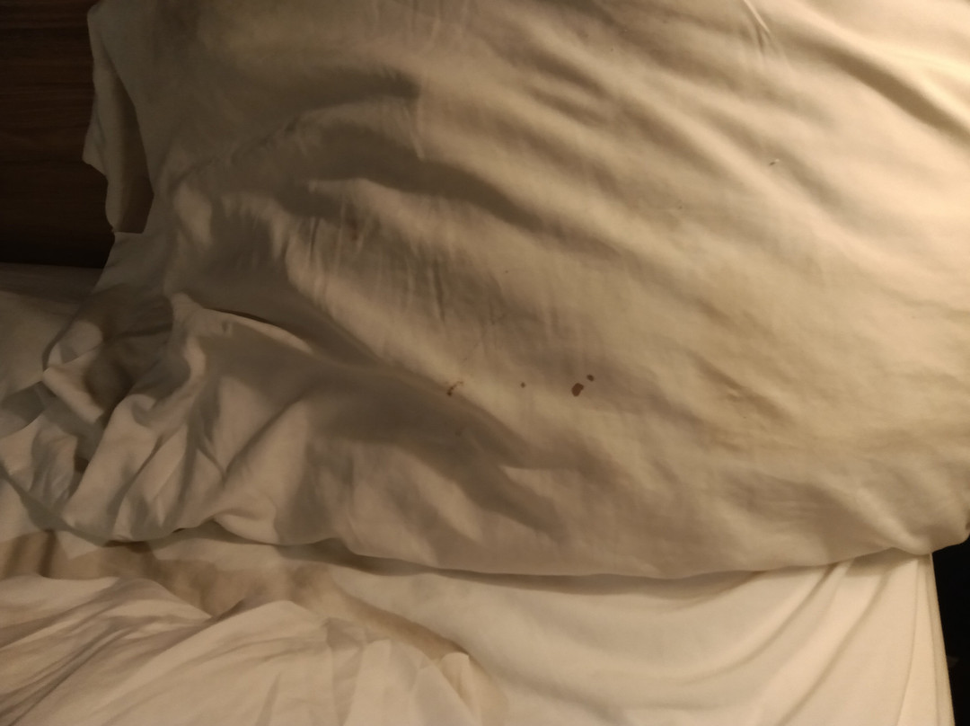 阿塔拉戴斯酒店主图