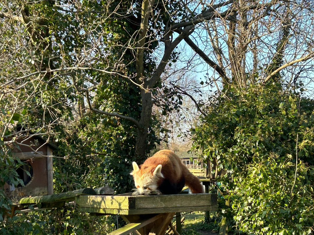 Curraghs Wildlife Park-Ballaugh必去景点