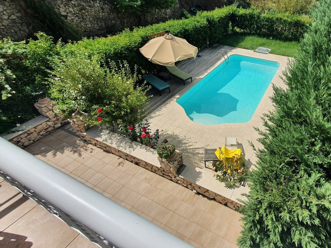 Il Viaggio Verde主图