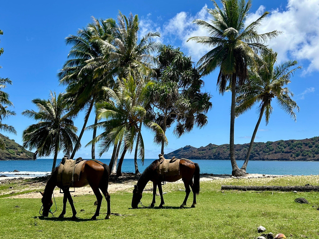 Nuku-Hiva on horseback-Nuku Hiva必去景点