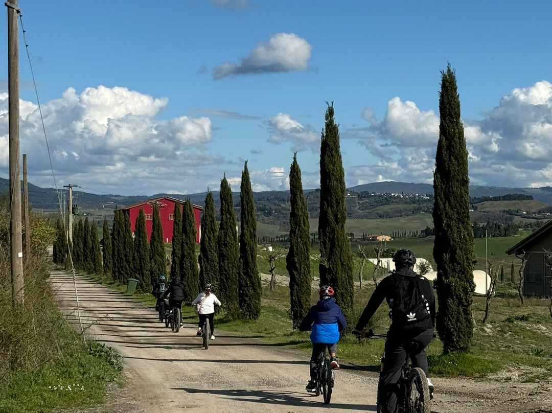 Biking Tuscany Tour景点图片