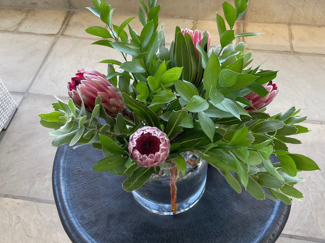 故乡的客人别墅套房酒店主图