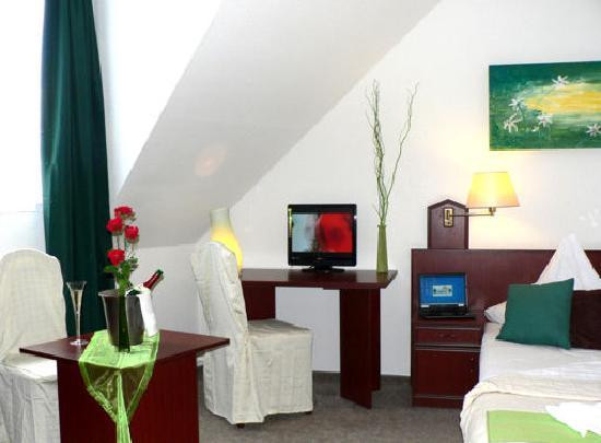 Hotel Flaemingsthaler Hof主图