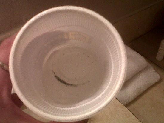 Budget Host Sundowner主图