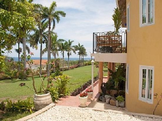 Birds Eye View主图