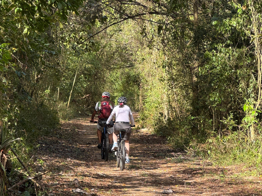 Tobago Mountain Bike Tours-多巴哥必去景点