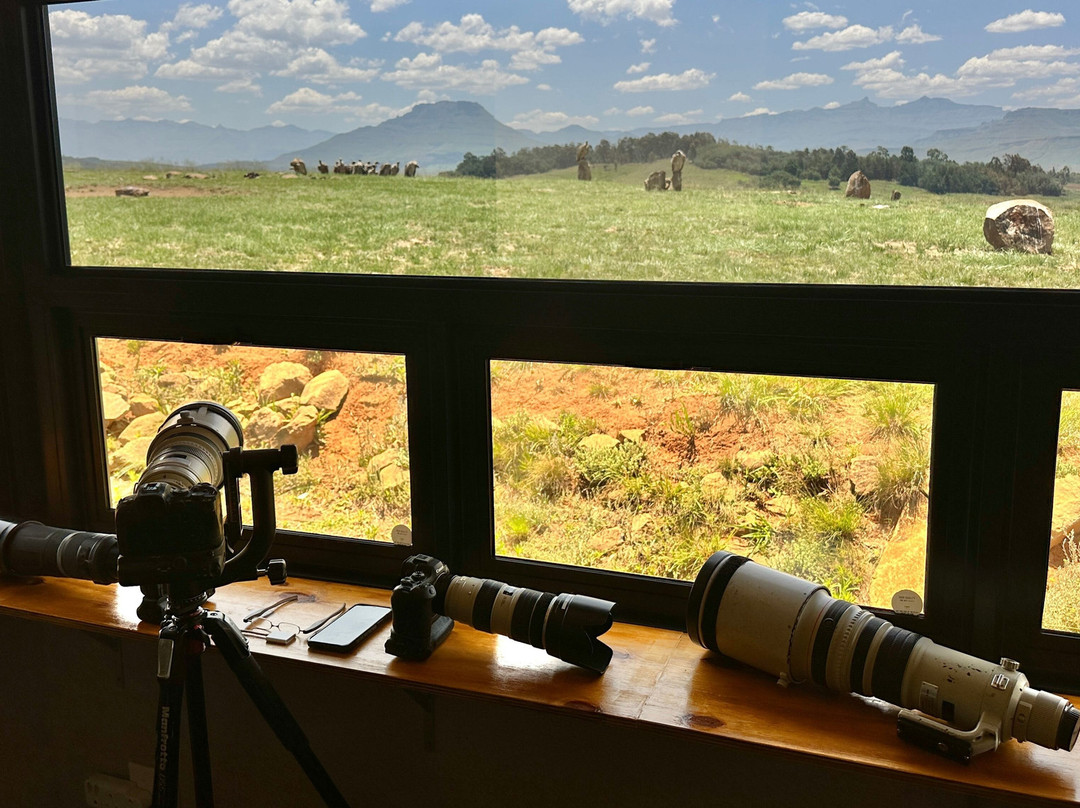 Mzimkulu Vulture Hide-安德堡必去景点