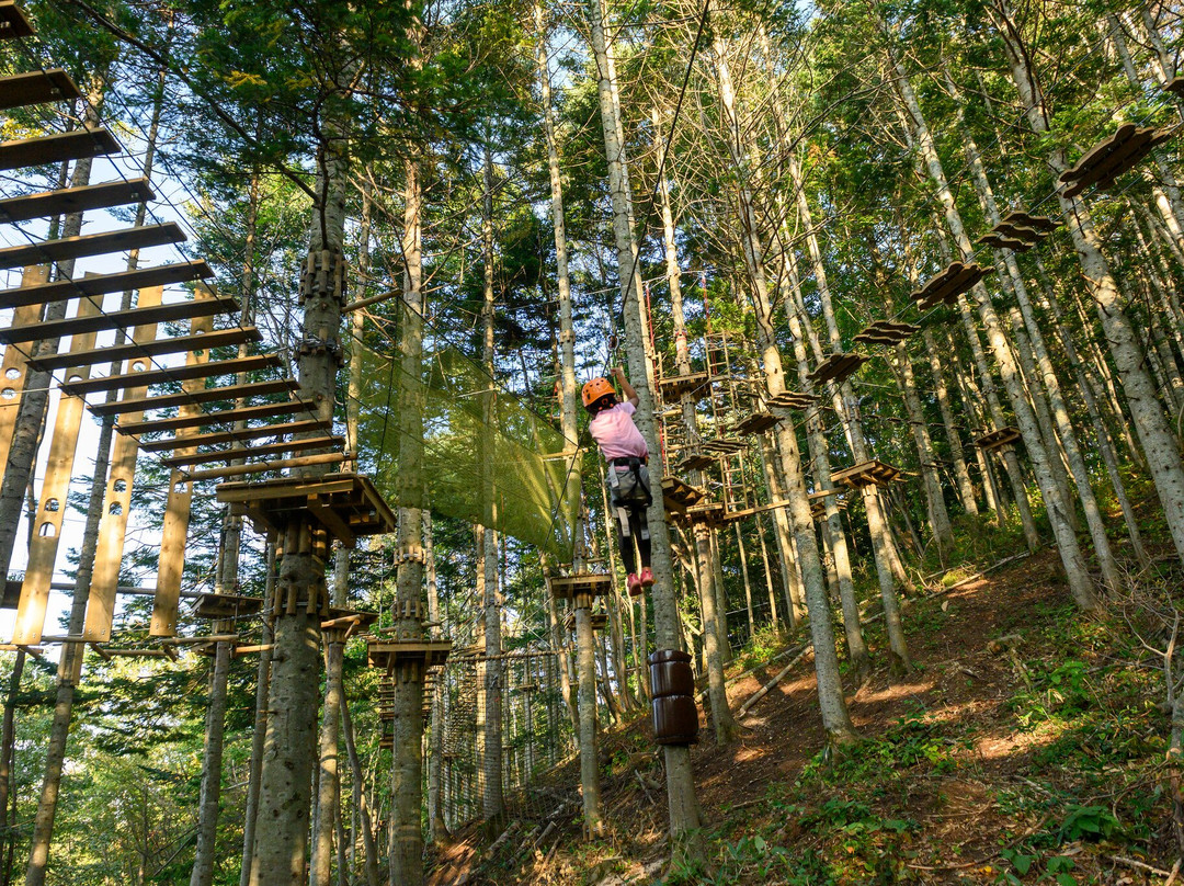 Hanazono Adventure Park-俱知安町必去景点