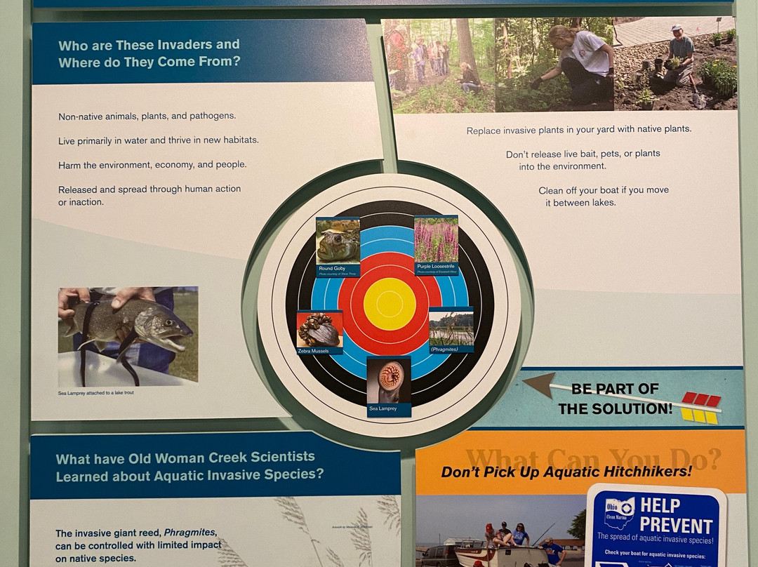 Old Woman Creek State Nature Preserve-Huron必去景点