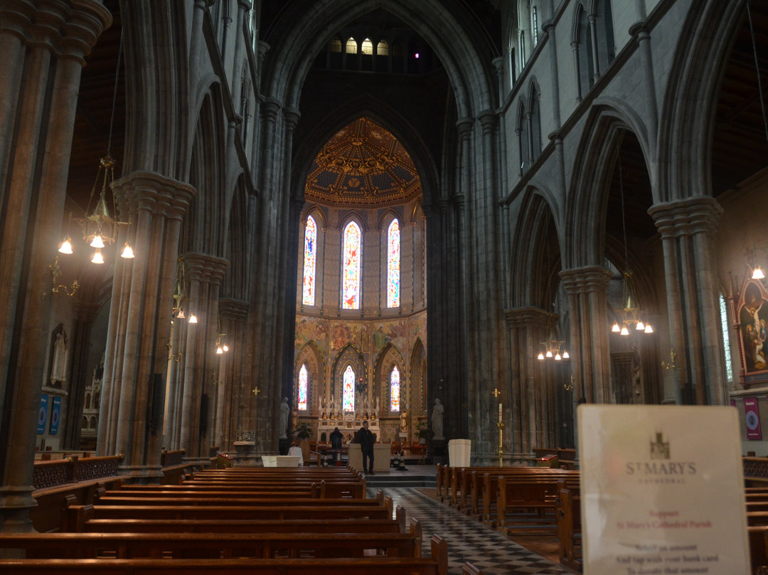 St. Mary's Catholic Cathedral-基尔肯尼必去景点