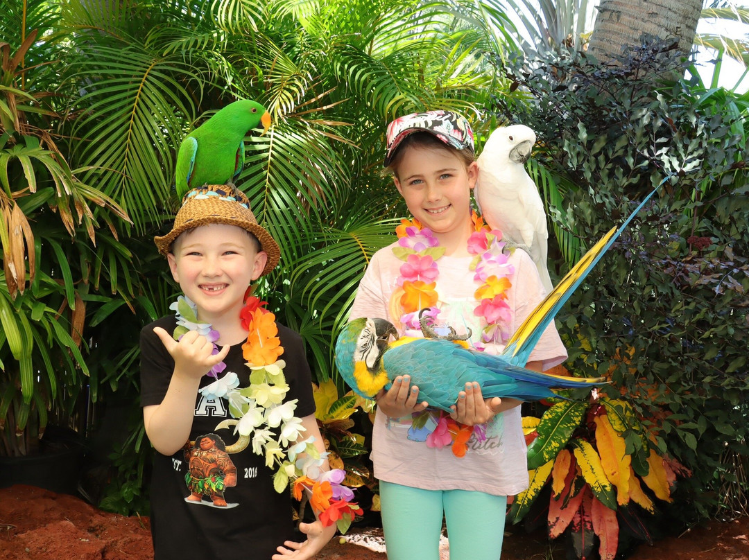 Lahaina Bird Stand景点图片