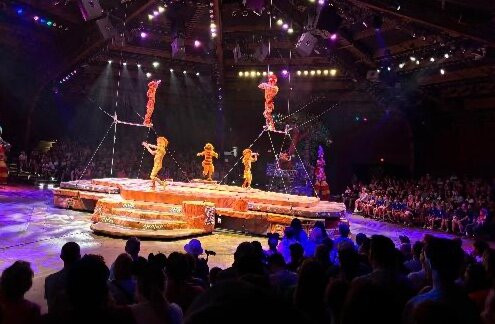 Festival of the Lion King-奥兰多必去景点
