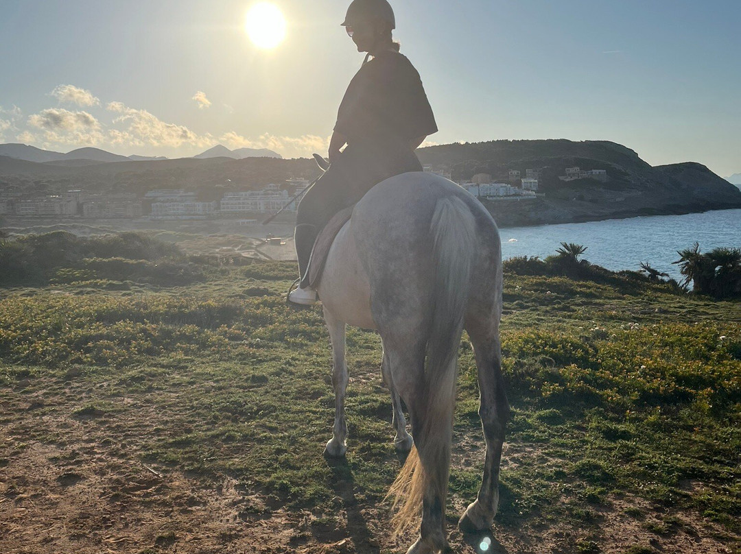 Hipico Cala Ratjada Eddi's Reitstall-Cala Ratjada必去景点
