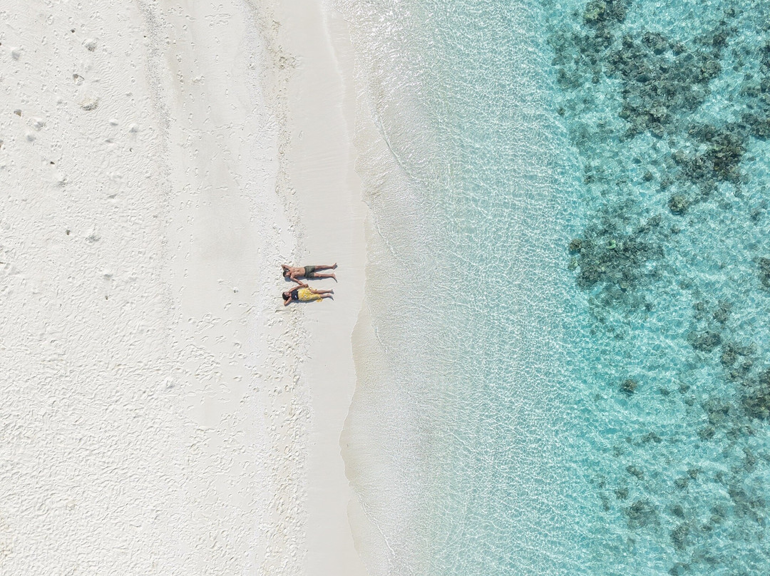 SHADOWPALM TOURS-马富士岛必去景点