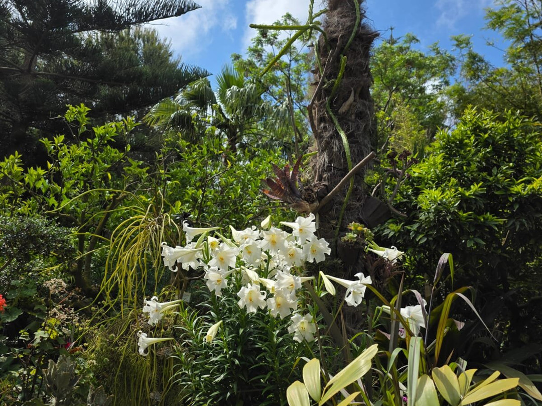 Jardín Botánico La Almunya del Sur-艾尔艾吉多必去景点