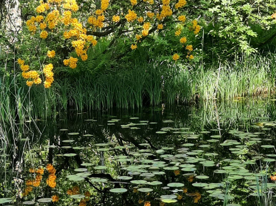 Park Seleger Moor-Rifferswil必去景点