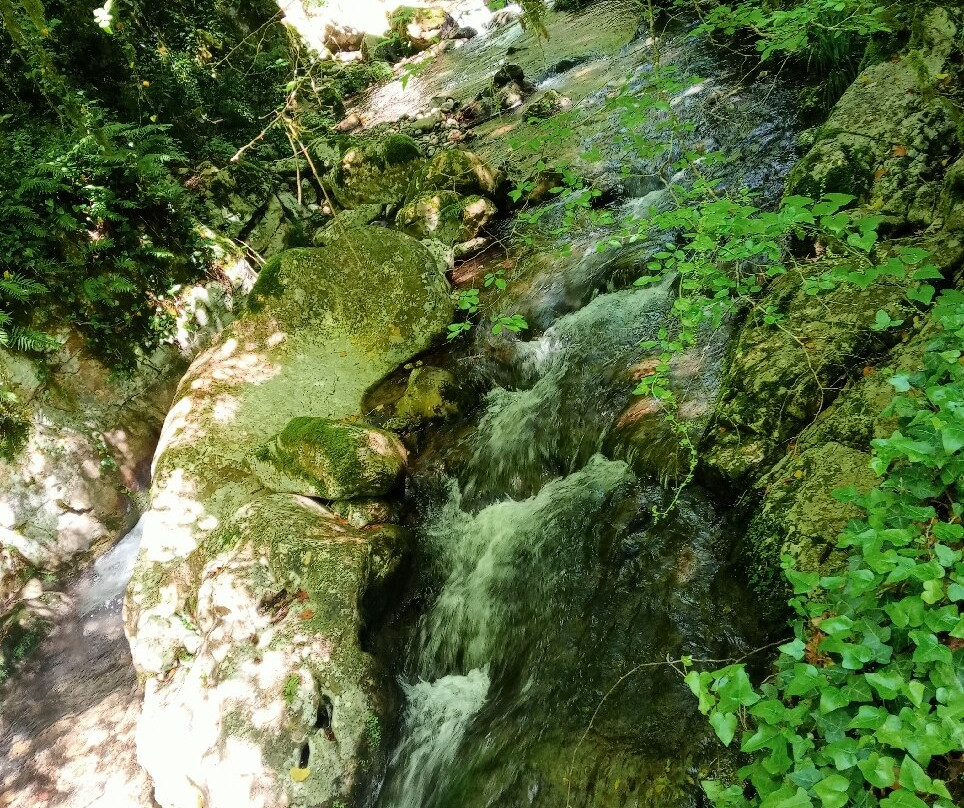 Grotte del Bussento-Morigerati必去景点