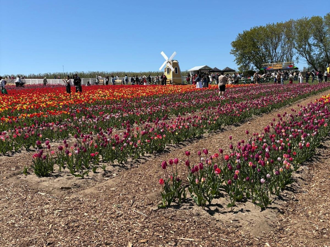 Pingles Farm Market-Hampton必去景点