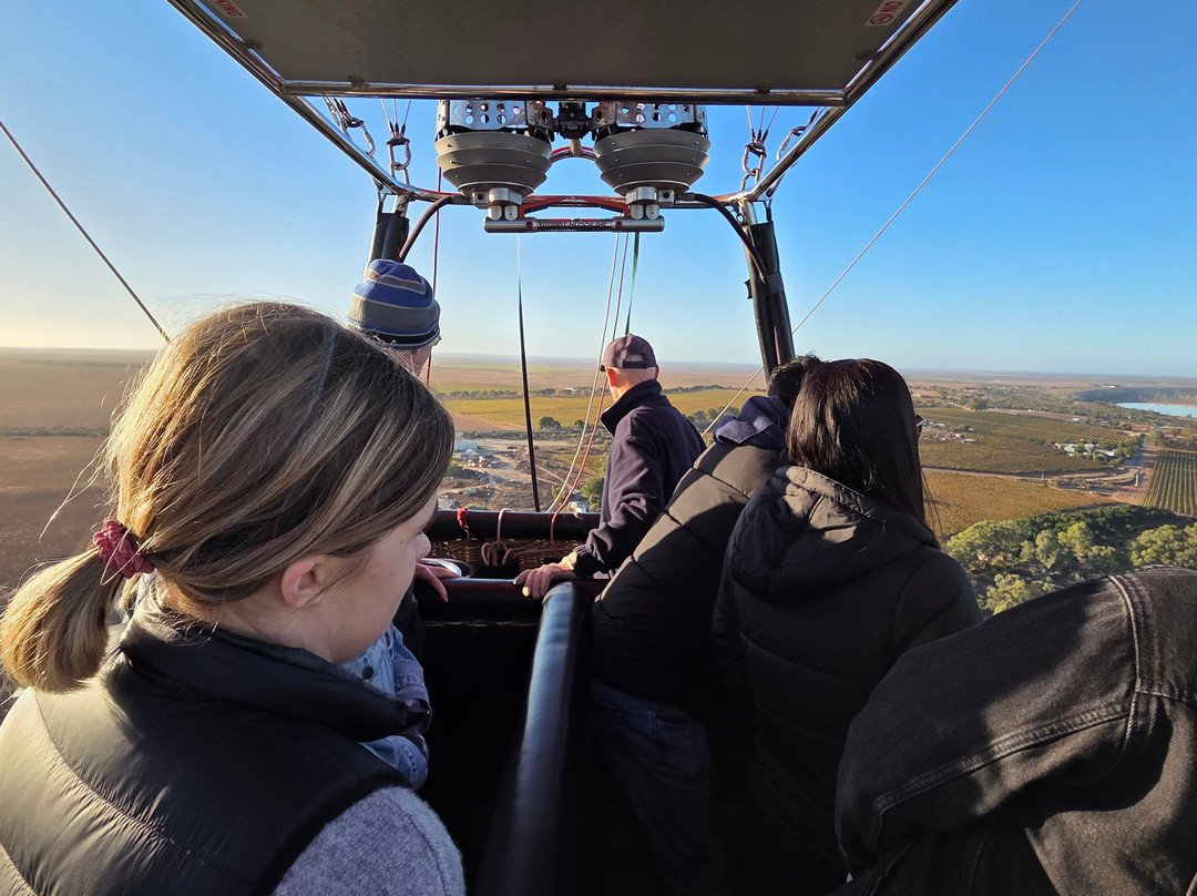 Barossa Valley Ballooning景点图片