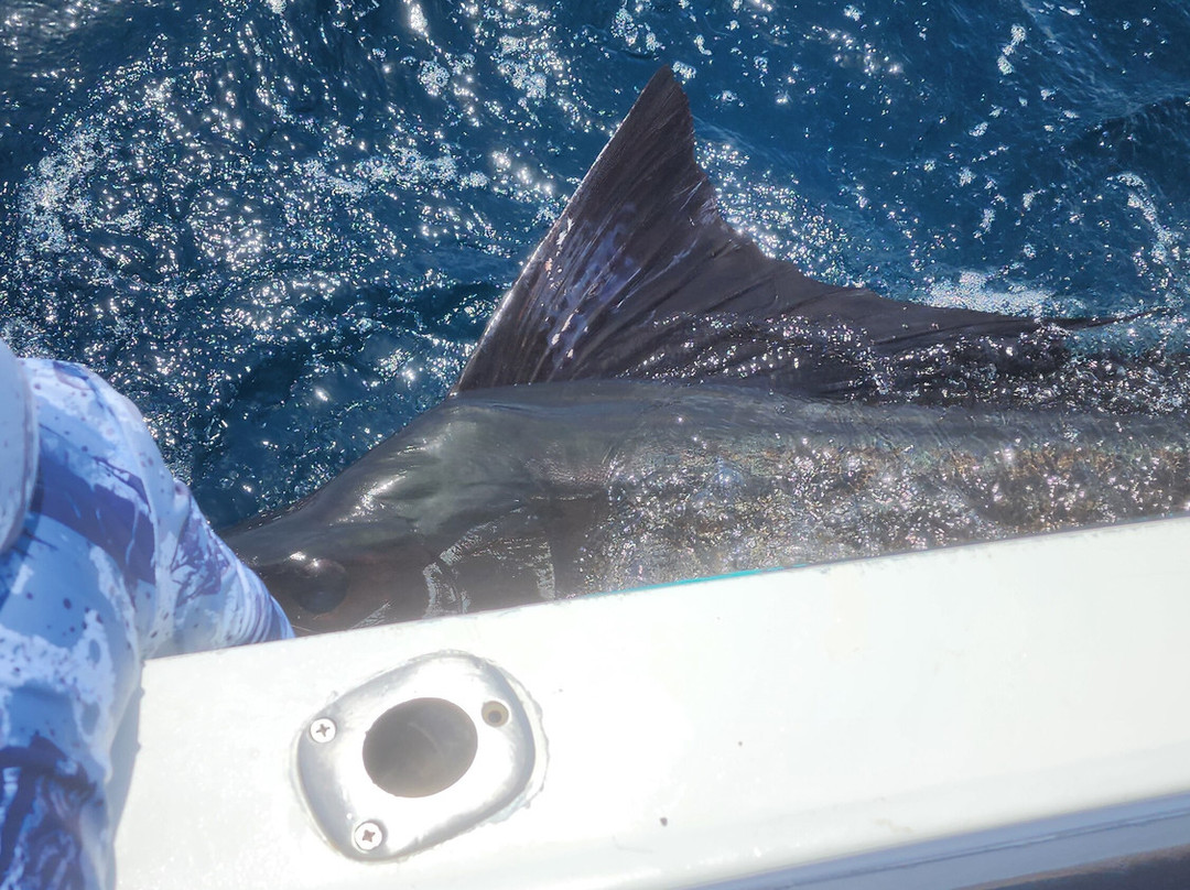 Prime Tours Costa Rica-利比里亚必去景点