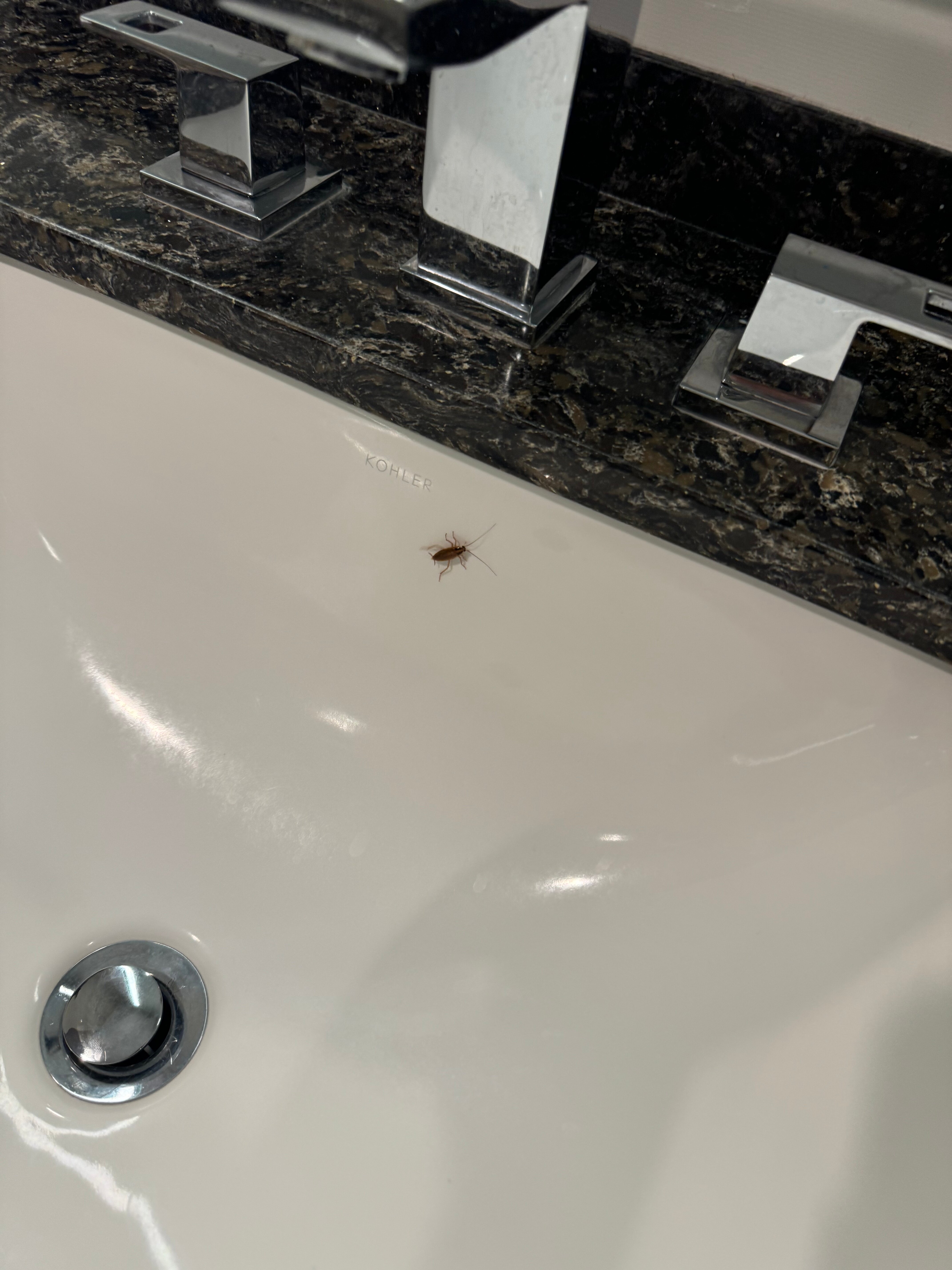 Bear Springs Hotel-浴室