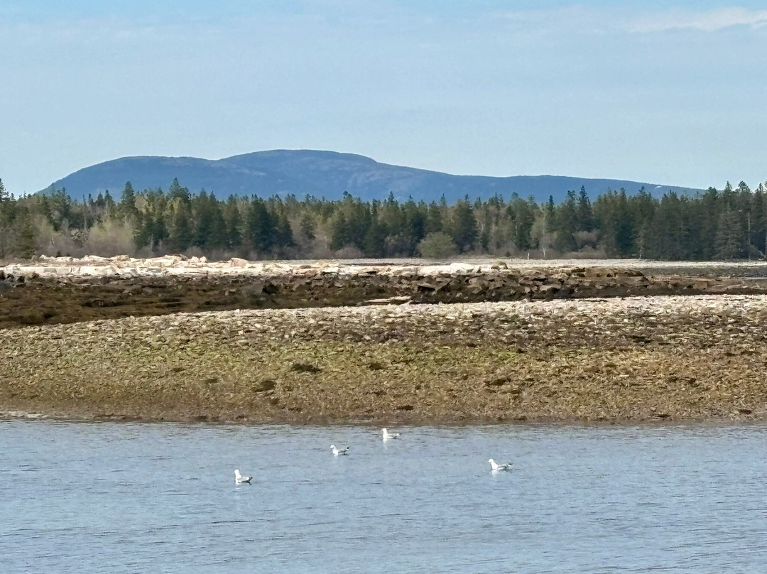 Wonderland Trail-Southwest Harbor必去景点