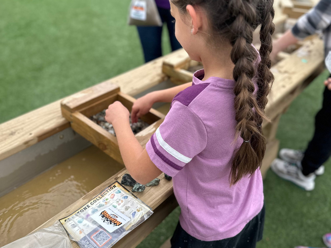 The Branson Coaster-布兰森必去景点