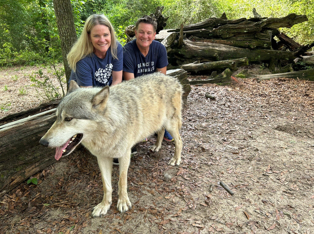 Seacrest Wolf Preserve景点图片