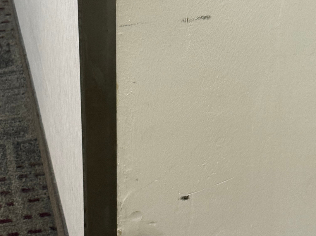 孟菲斯日耳曼敦原住客栈主图