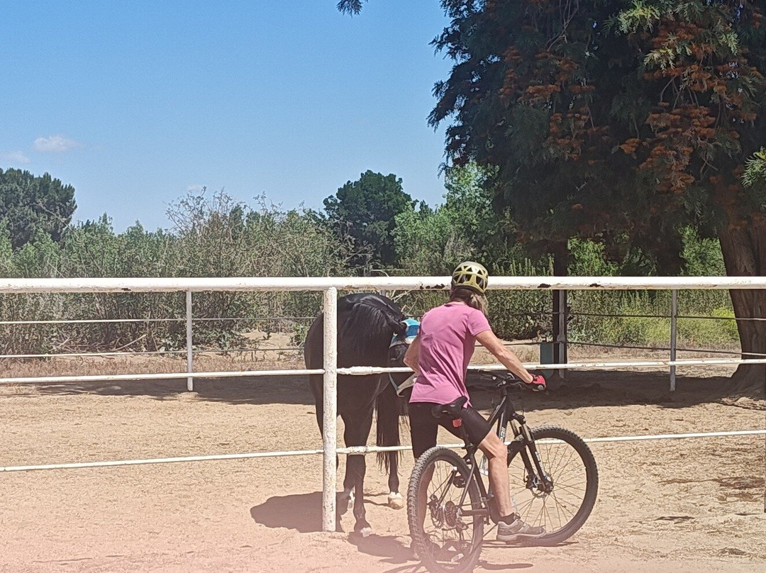 Kern River Parkway Trail-贝克斯菲尔德必去景点