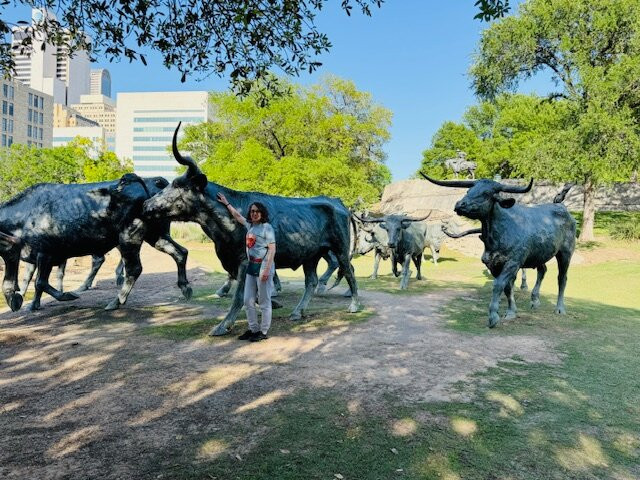 Dallas Cattle Drive Sculptures-达拉斯必去景点