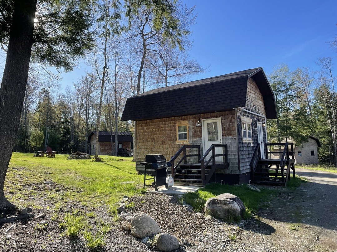 Bear Lodge