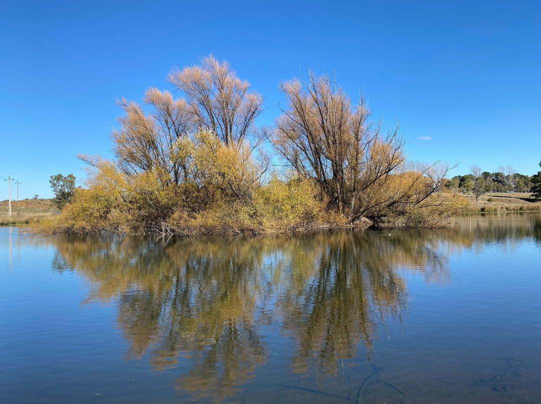 Lake Williams-Nimmitabel必去景点