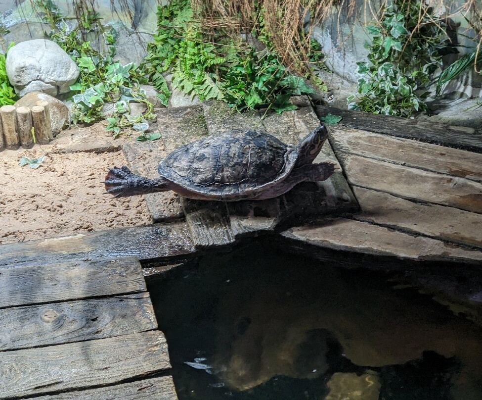 Tynemouth Aquarium-泰恩茅斯必去景点
