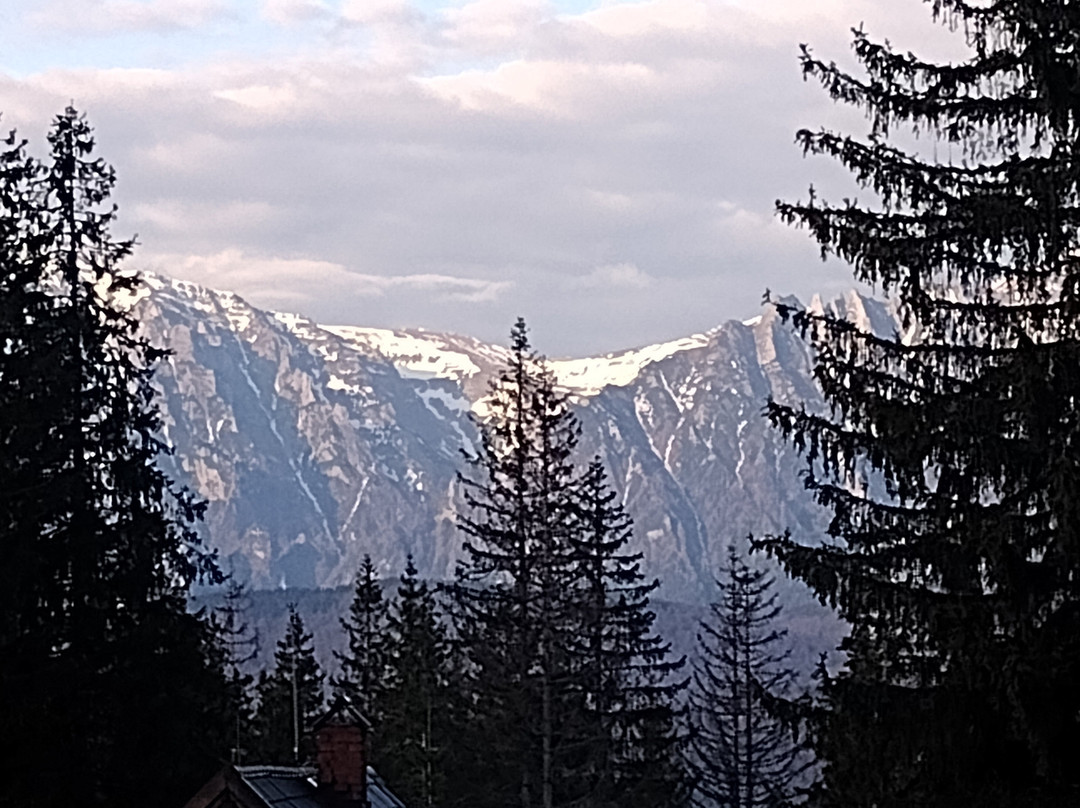 Hotel Belvedere Predeal