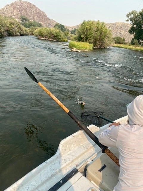 Frontier Anglers-Dillon必去景点