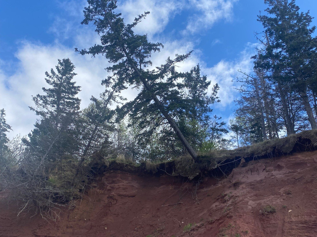 Burntcoat Head Park-Noel必去景点