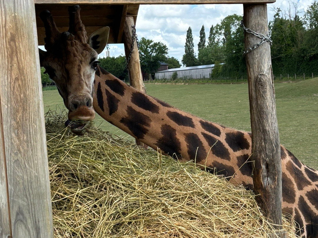 Parc Zoologique Cerza景点图片