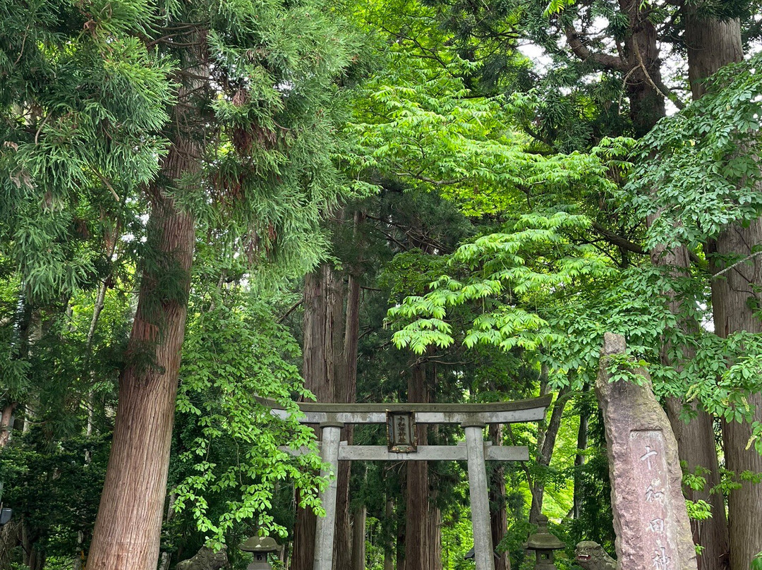 Towada Shrine-十和田市必去景点