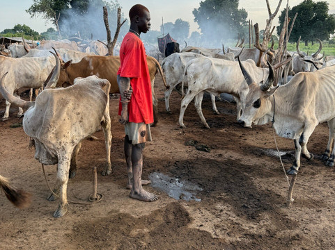 BomaHills Tourism Limited-Juba必去景点