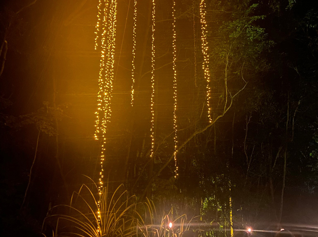 Flames of the Forest-道格拉斯港必去景点