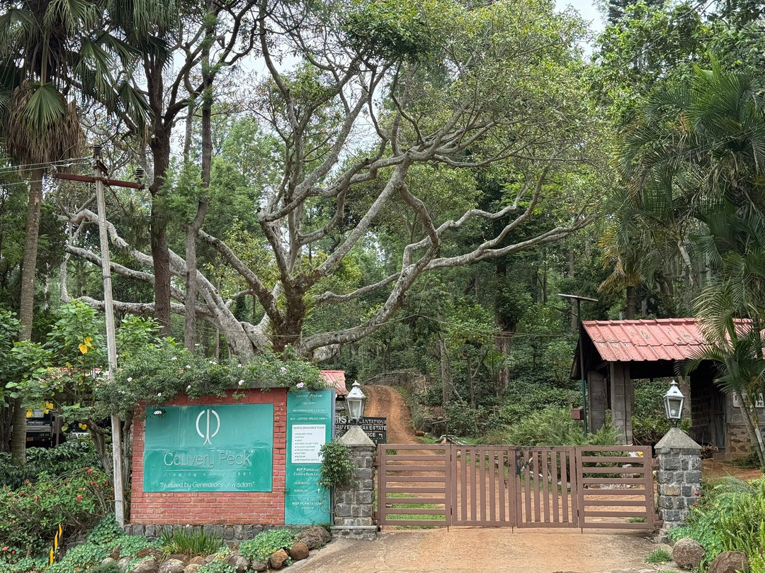 Cauvery Peak-亚尔考德必去景点