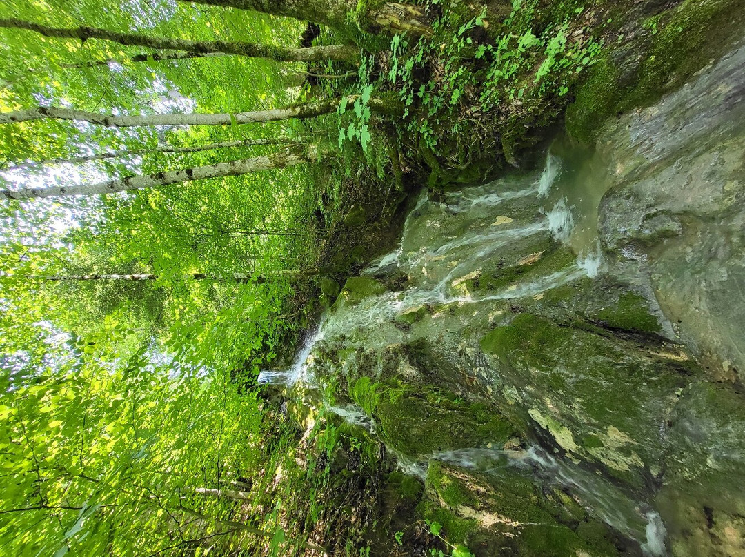 Naturdenkmal Seisenbergklamm-Weissbach bei Lofer必去景点