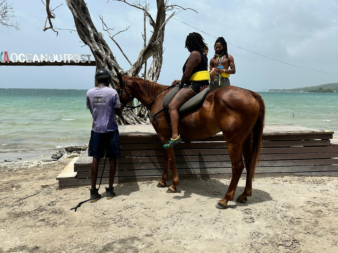 Chukka-逍遥海湾必去景点