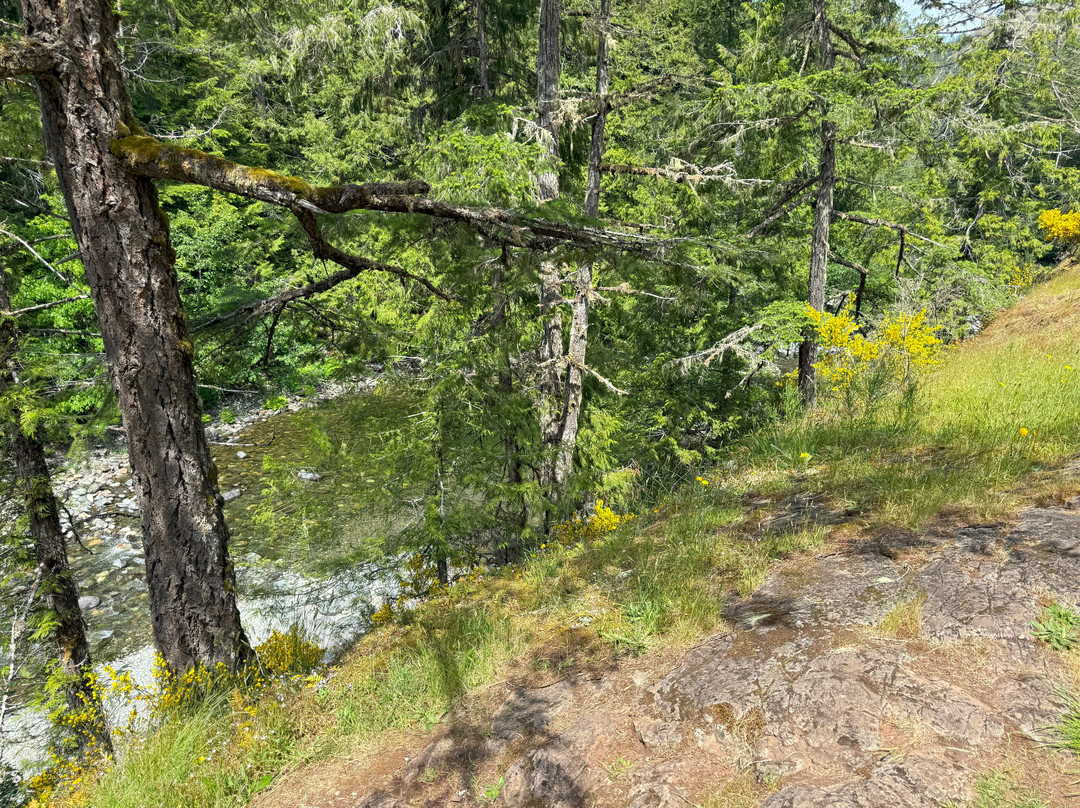Sooke Potholes Provincial Park景点图片