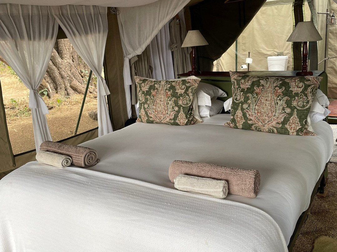 John's Camp - Robin Pope Safaris主图