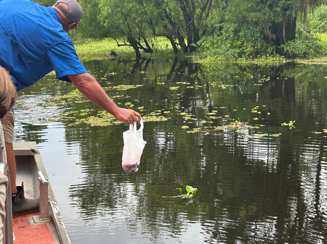 Atchafalaya Basin Landing & Airboat Swamp Tours景点图片