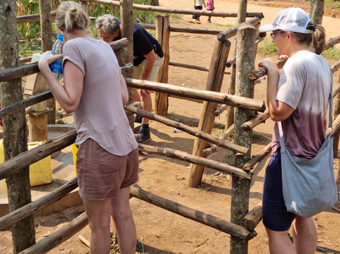 Gorilla Page Safaris