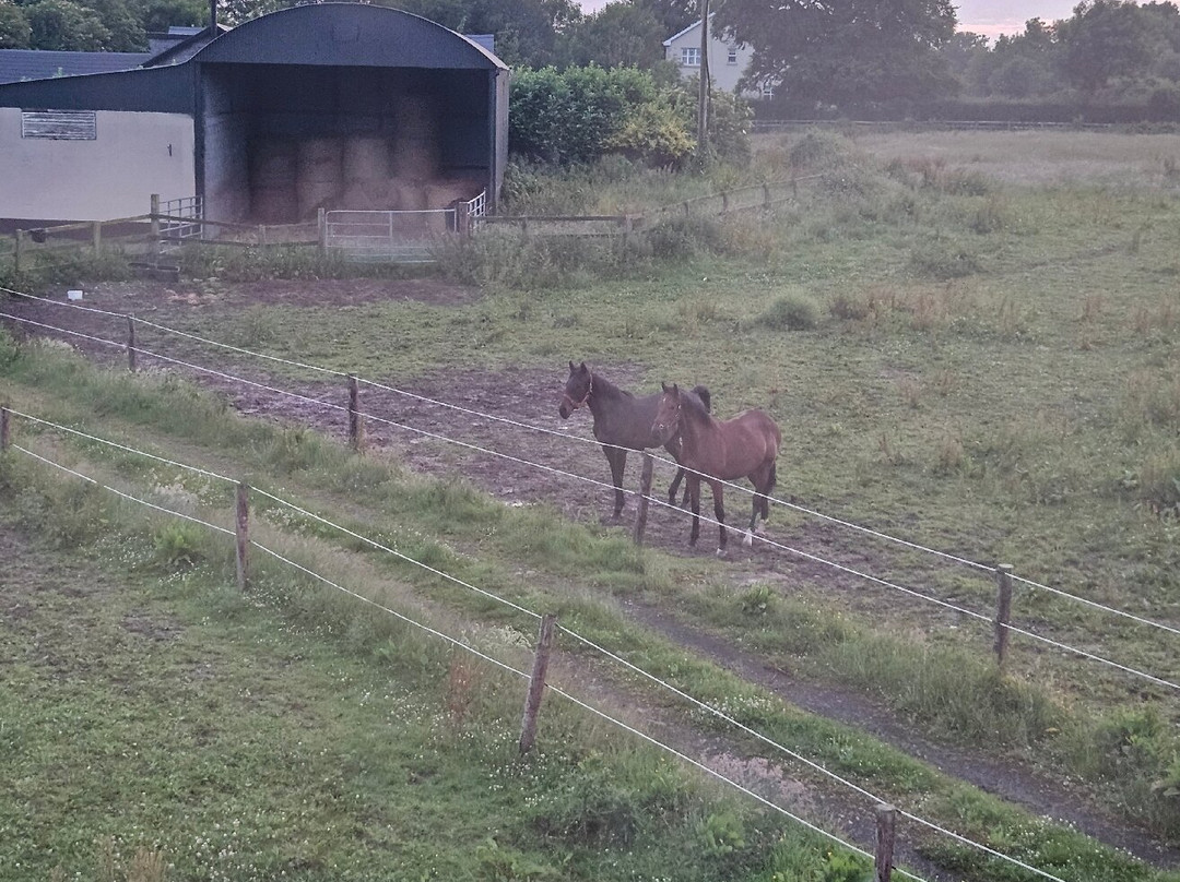 Sixmilebridge酒店住宿-Rossmanagher House